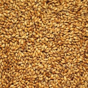 JOE White Crystal Malt (Medium Crystal) EBC 140-160 1kg