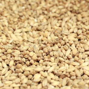 Pale Ale Malt  (USA)  Briess Malt 22.68KG