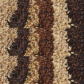 Joe White Barley Wheat Malt 1kg Base Crystal Roasted Pilsner Premium Brewer Beer